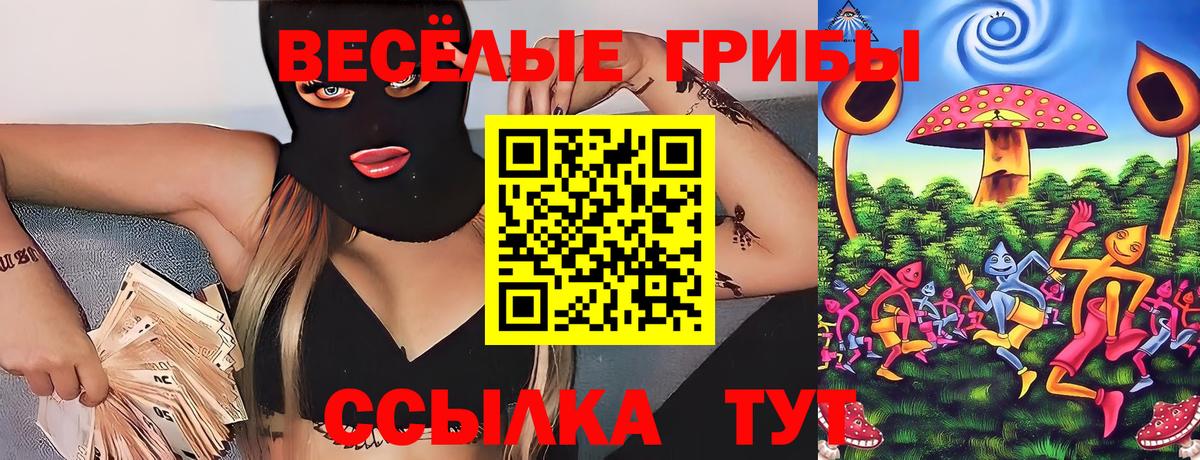 Галлюциногенные грибы прущие грибы  Псилоцибиновые грибы Cubensis  Вход с VPN  Гудермес 